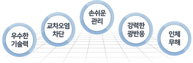 5가지 특징